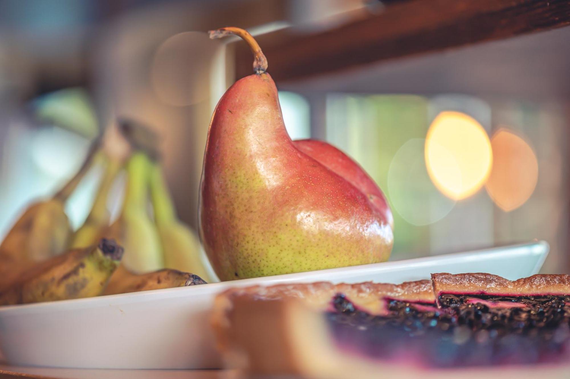 Logis Hotel Restaurant Le Plantevin Propiac ภายนอก รูปภาพ